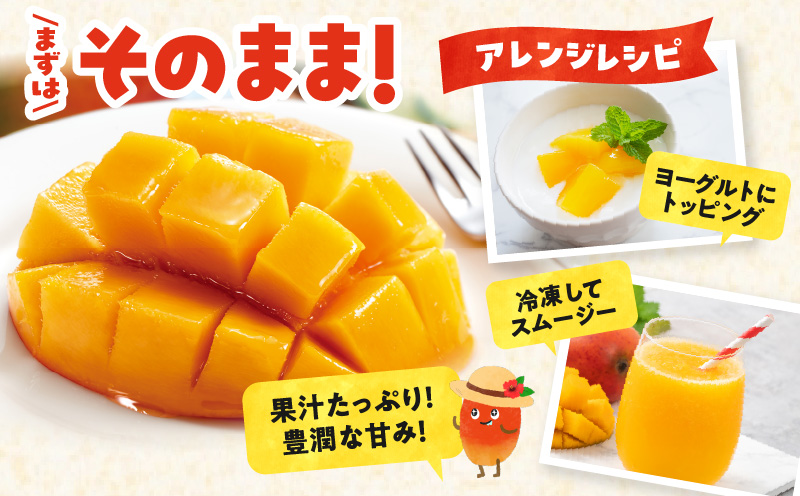 【2026年先行予約】甘い香りの贈り物！山下農園の完熟アップルマンゴー 2kg（4〜6玉）　W063-003-02