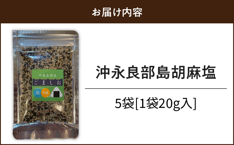 沖永良部島胡麻塩20g×5袋　W011-088u-03