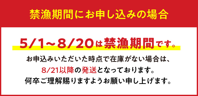 【漁師直送】活き〆冷凍 天然伊勢海老 500g（1〜2尾）　W005-009u