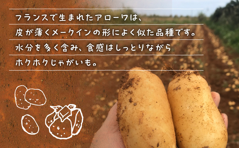 【2025年先行予約】沖永良部島産 おいしい赤土じゃがいも アローワ 10kg【1月下旬〜5月下旬】　W009-070-03