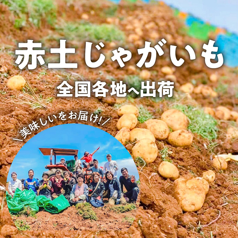 【2025年先行予約】皆村農園のホクホク!ほりたて！春の新じゃがいも10kg【1月下旬～4月下旬】　W035-001