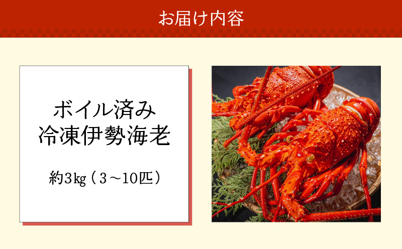 沖永良部島直送！素潜り漁師オススメのボイル済み冷凍伊勢海老 約3kg（3〜10匹）！　W030-002u