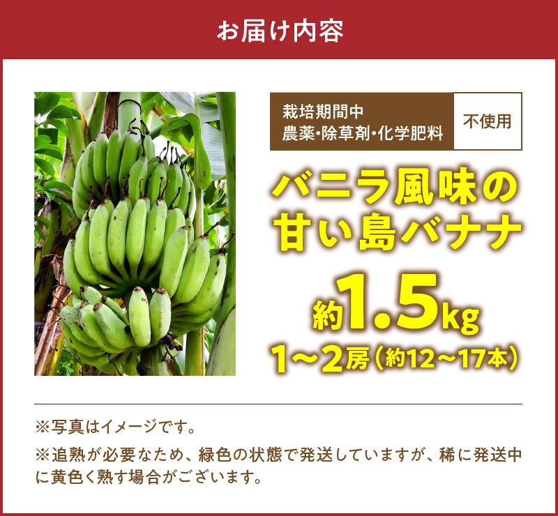 ■ 栽培期間中 農薬・除草剤・化学肥料不使用！バニラ風味の甘い島バナナ 1.5kg【2026年4月上旬～2026年11月下旬お届け】　W043-006u