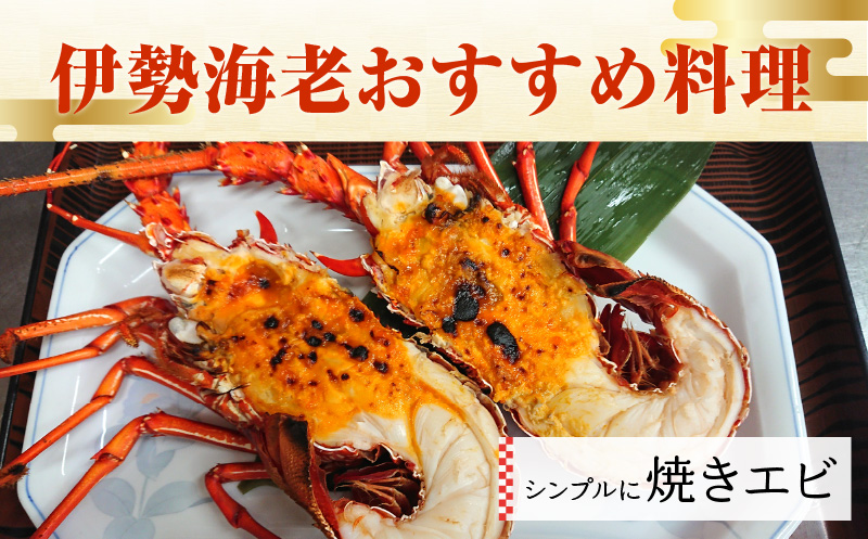 沖永良部島直送！素潜り漁師オススメの冷凍伊勢海老 約500g（1〜2匹）！　W030-018