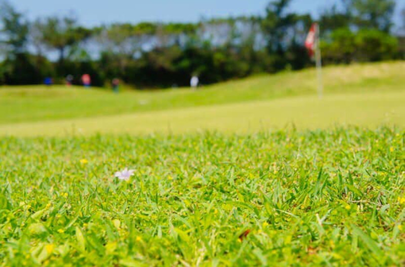 南の島のゴルフコース（ショートコース）１日回り放題プレー券！シューズ・クラブ・ボールレンタル料込の超満喫プラン！（２名様）