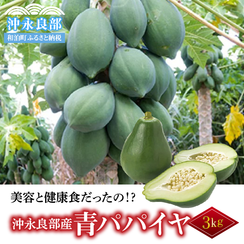 酵素たっぷり「青パパイヤ」3kg　W009-065