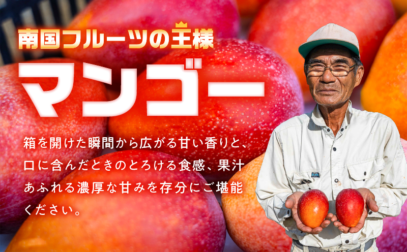【2026年先行予約】甘い香りの贈り物！山下農園の完熟アップルマンゴー 2kg（4〜6玉）　W063-003-02