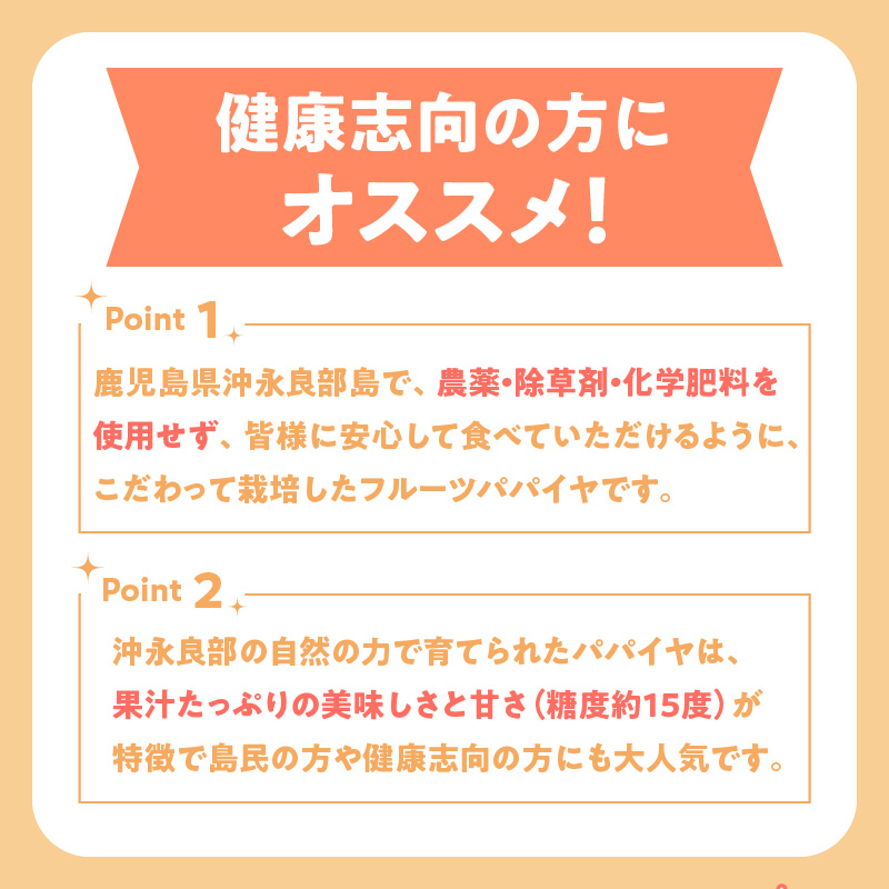 【先行受付】沖永良部島の甘くて美味しいフルーツパパイヤ1㎏（３～４玉）