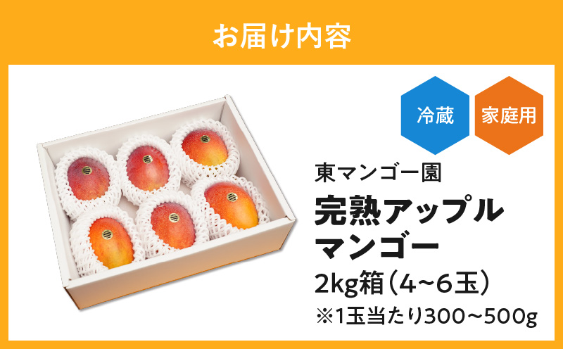 【2025年先行予約】≪ご家庭用≫東マンゴー園直送！完熟アップルマンゴー 2kg（4〜6玉）　W014-010u