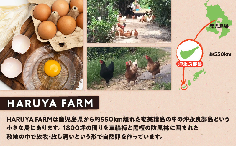 【ご家庭用】HARUYA FARMの有精卵「島のちっちゅ」　W065-001-02