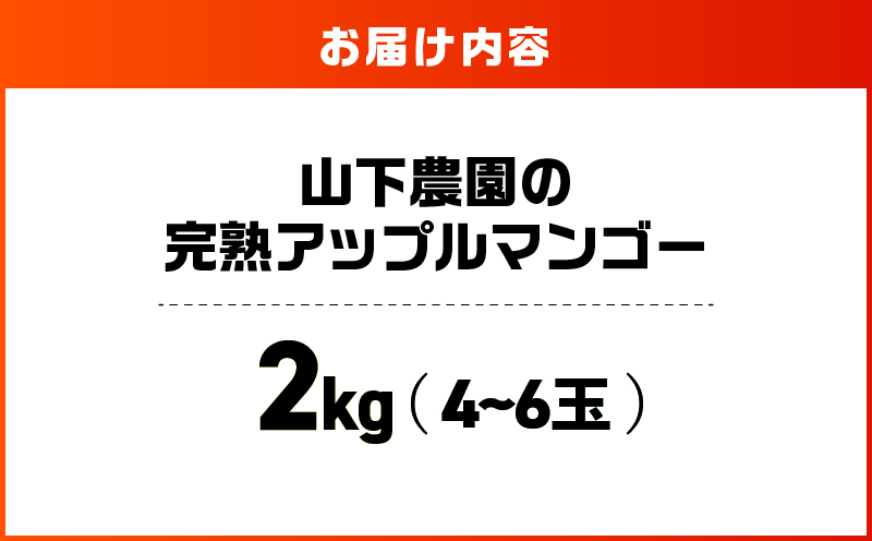 【2026年先行予約】甘い香りの贈り物！山下農園の完熟アップルマンゴー 2kg（4〜6玉）　W063-003-02