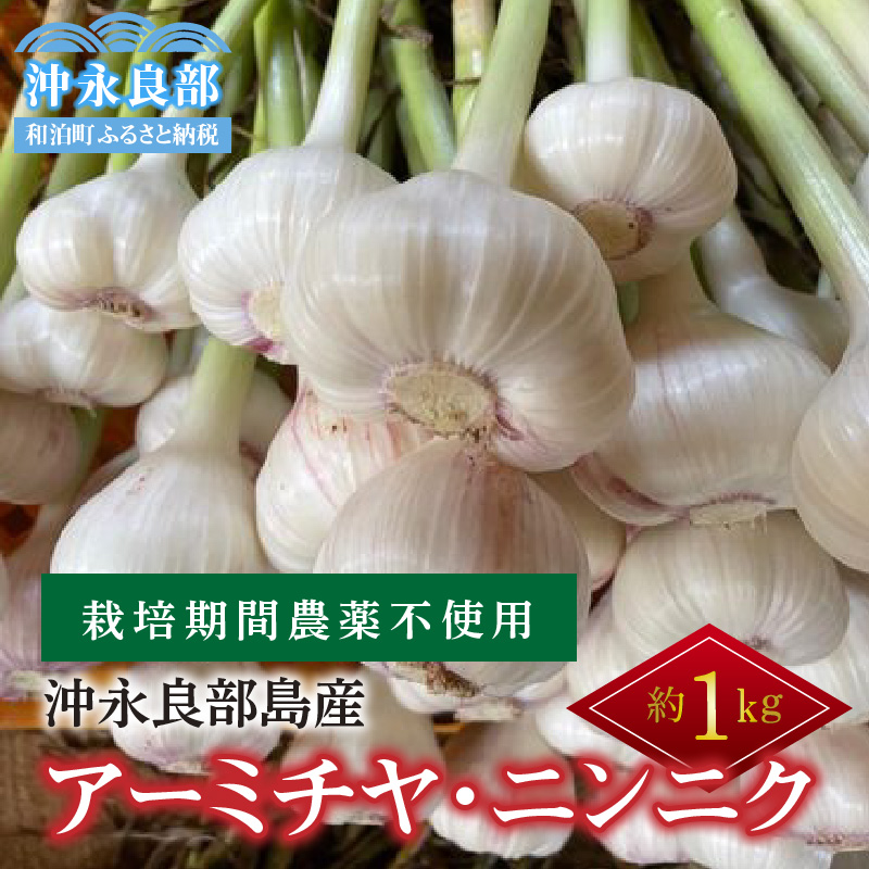 ブルー×レッド 【国産】 沖永良部島産 生にんにく 在来種 ２キロ【送料