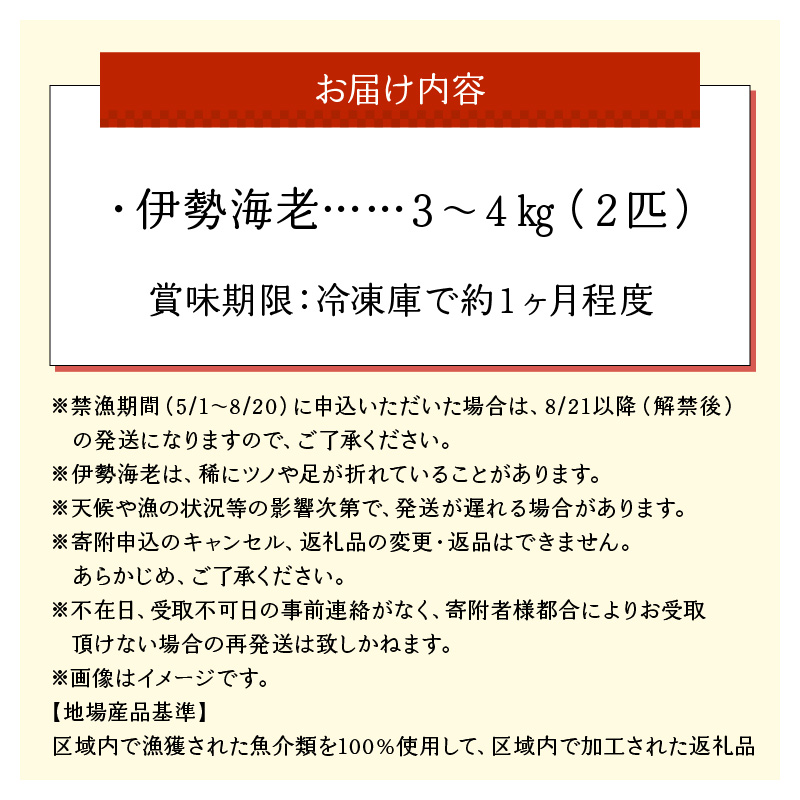 沖永良部島直送！素潜り漁師オススメの特大冷凍伊勢海老　約３〜４キロ（２匹）！