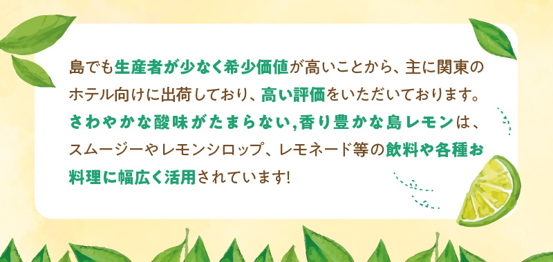■【先行受付】栽培期間中 農薬・除草剤・化学肥料不使用！南国の島レモン 3kg！【2026年9月～2027年2月下旬お届け】　W043-004u