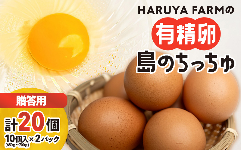 【贈答用】HARUYA FARMの有精卵「島のちっちゅ」　W065-001-01