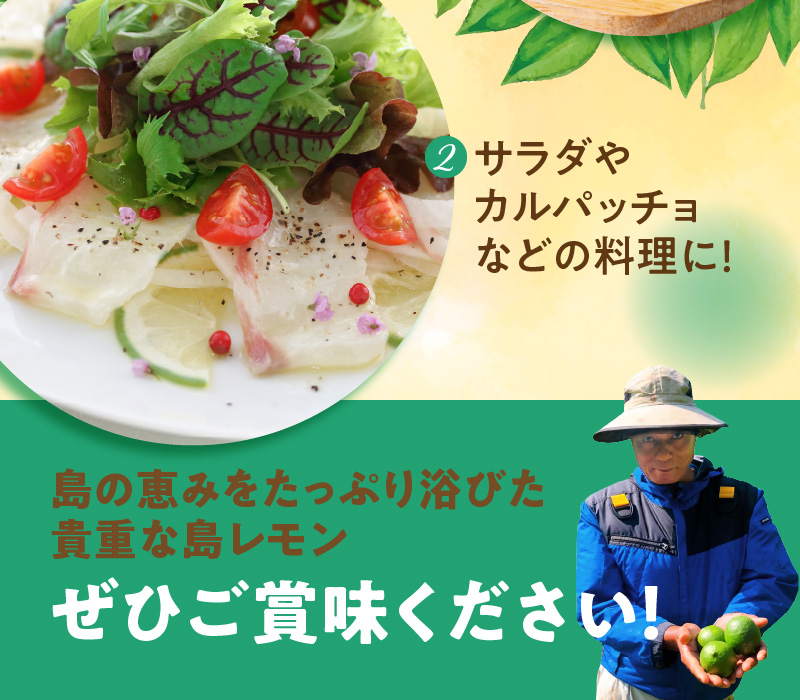 ■【先行受付】栽培期間中 農薬・除草剤・化学肥料不使用！南国の島レモン 3kg！【2026年9月～2027年2月下旬お届け】　W043-004u