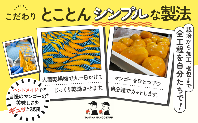 【先行受付】田中マンゴー園が作ったマンゴーのドライフルーツ 40g×5袋　W001-013-04