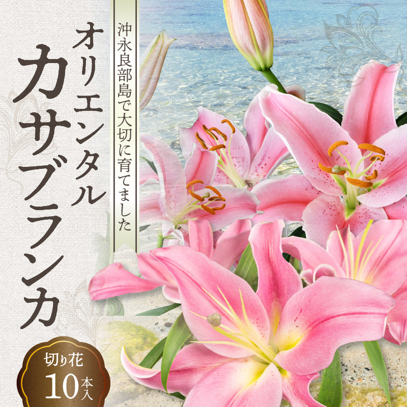 沖永良部島で大切に育てられた オリエンタル カサブランカの花セット Jalふるさと納税 Jalのマイルがたまるふるさと納税サイト 沖永良部島で大切に育てられた オリエンタル カサブランカの花セット Jalふるさと納税 Jalのマイルがたまるふるさと納税サイト