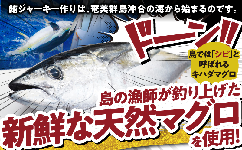 素潜り漁師マサル監修「マグロのジャーキー こくまろ味」30g×3袋　W062-012-02