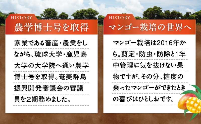 【2025年先行予約】伊村農園こだわり栽培！完熟アップルマンゴー2kg（4～5玉）　W026-002u