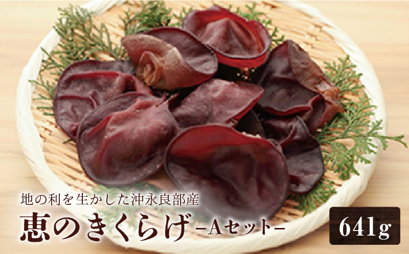 地の利を生かした沖永良部産 恵のきくらげAセット　W012-002u