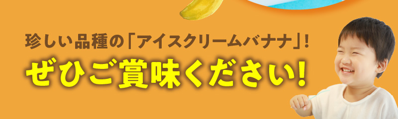 ■ 栽培期間中 農薬・除草剤・化学肥料不使用！バニラ風味の甘い島バナナ 1.5kg【2026年4月上旬～2026年11月下旬お届け】　W043-006u