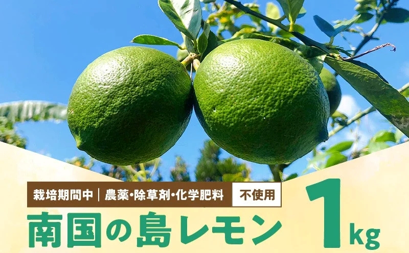 ■【先行受付】栽培期間中 農薬・除草剤・化学肥料不使用！南国の島レモン 1kg！【2025年9月〜2026年2月下旬お届け】　W043-005u