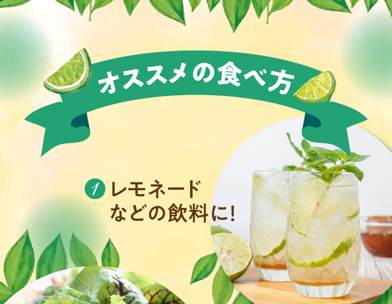 ■【先行受付】栽培期間中 農薬・除草剤・化学肥料不使用！南国の島レモン 3kg！【2026年9月～2027年2月下旬お届け】　W043-004u