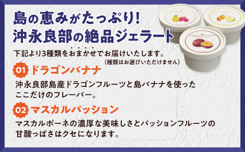 POWER GELATO 沖永良部島産（季節限定セット6個入り）　W066-002-01