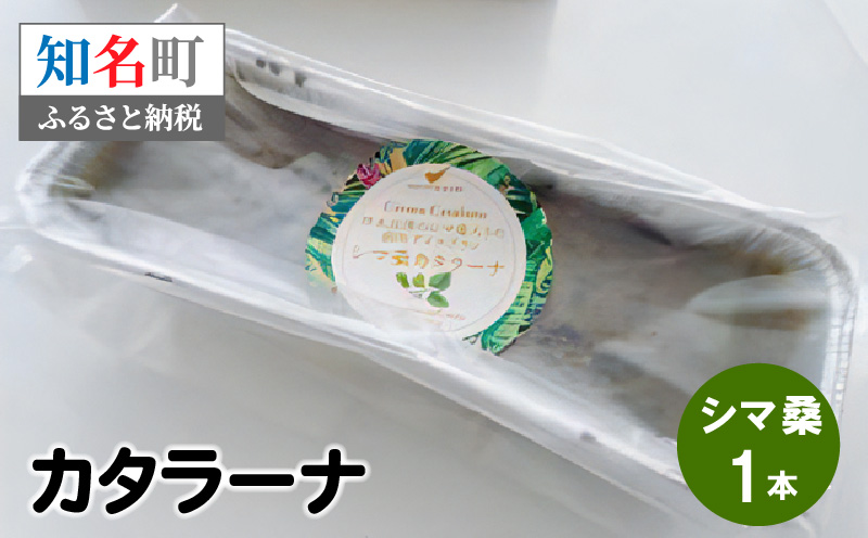 カタラーナ（シマ桑） 約200g×1本　C035-010