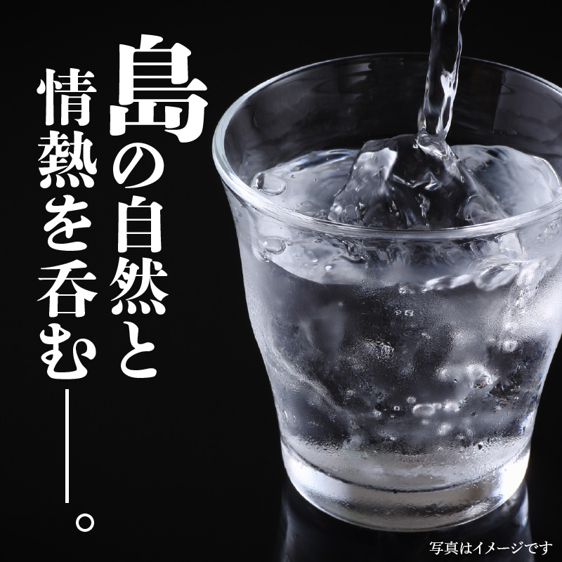 本格焼酎 天下無双 35度　500ml　2本 