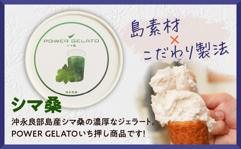 POWER GELATO（シマ桑）90ml×15個入り　C073-006-03