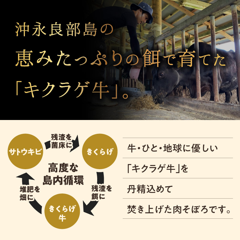 【2025年先行予約】きくらげ牛の肉そぼろ 100g×2セット　C037-003-02