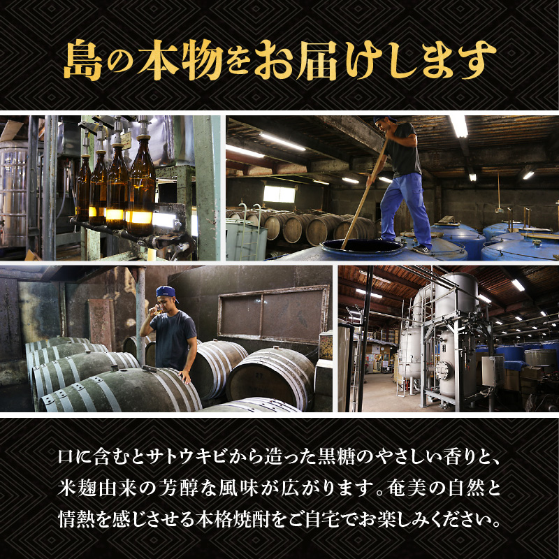 奄美 天下一 30度 900ml 1本　C047-005-01