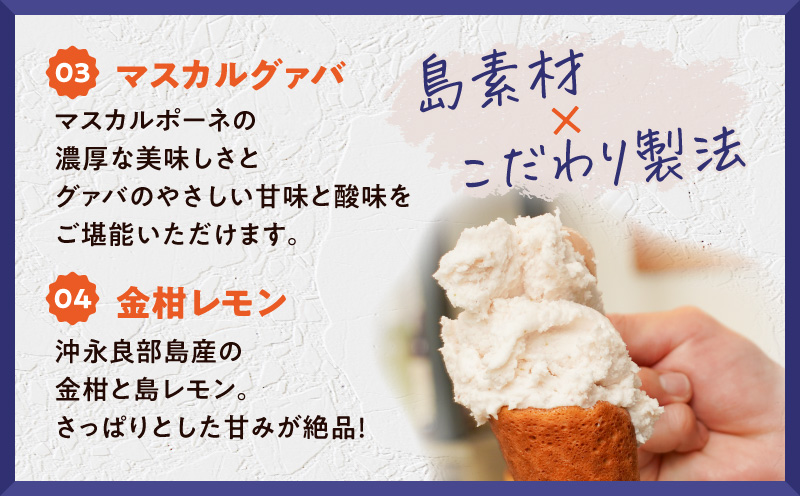 POWER GELATO（季節限定セット12個入り）　C073-003-02
