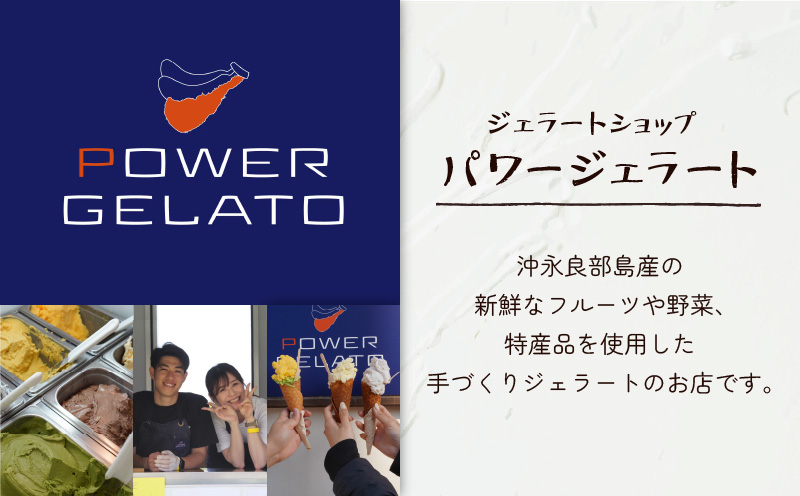 POWER GELATO（塩ちんすこうバニラ）90ml×15個入り　C073-005-03