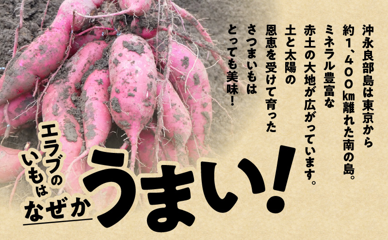 erabu chips（さつまいも） 2箱セット　C068-002-02