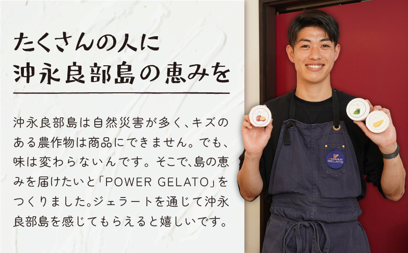 POWER GELATO（塩ちんすこうバニラ）90ml×15個入り　C073-005-03
