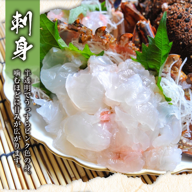 沖永良部島産 伊勢海老 約1kg（2〜3尾）　C041-002