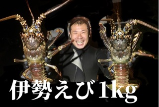 沖永良部島産 伊勢海老 約1kg（2〜3尾）　C041-002