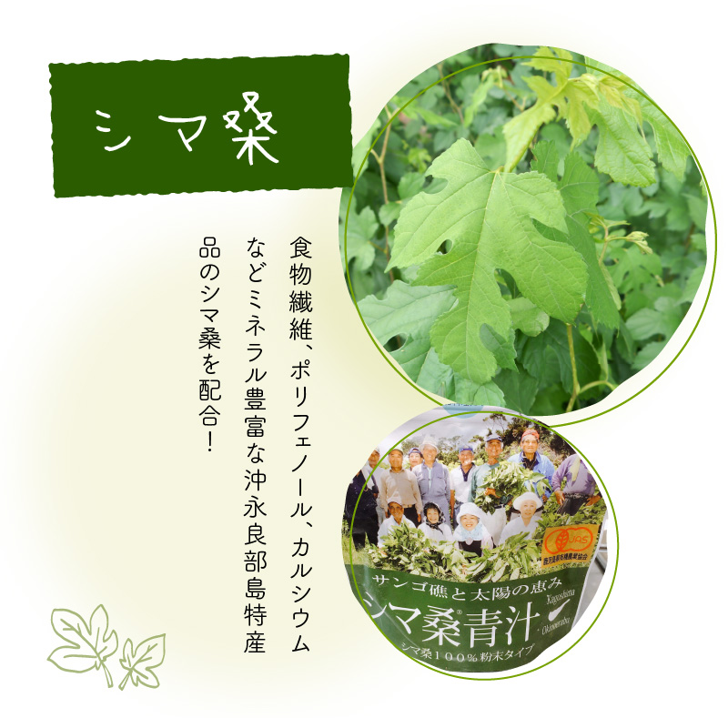 カタラーナ（シマ桑） 約200g×1本　C035-010