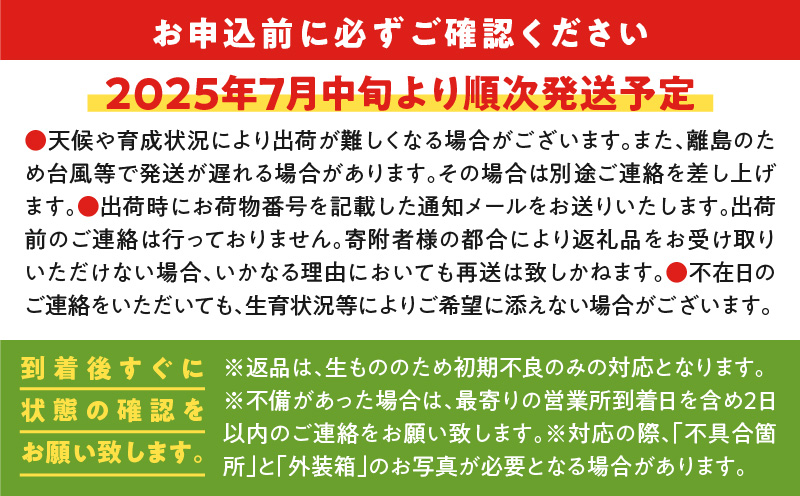 【2025年先行予約】ふじ農園の完熟マンゴー 2kg　C031-002