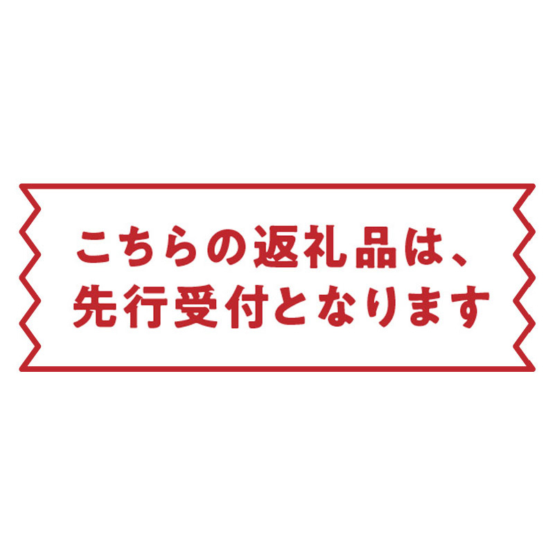 【2025年先行予約】竹マンゴーファーム 大玉パッションフルーツ（12個入り）　C039-002