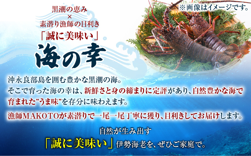 邏貎懊j貍∝クォMAKOTO縺ョ隱縺ォ鄒主袖縺励>豬キ魄ョ縺翫∪縺九○繧サ繝繝 2kg縲C074-002