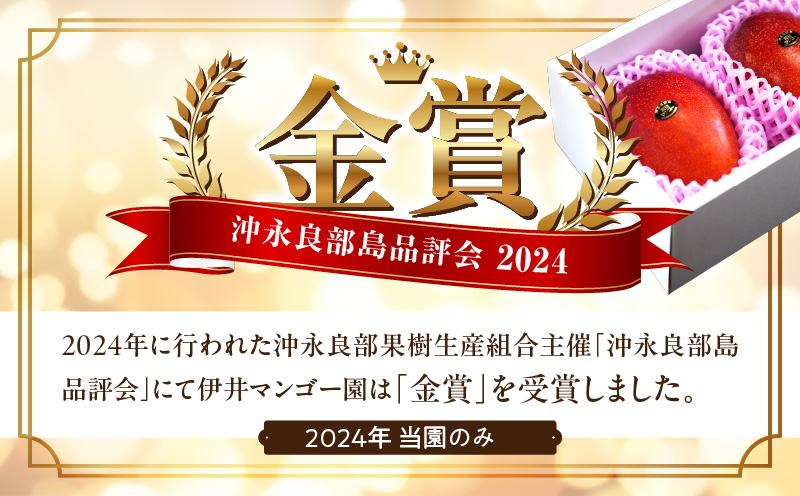 【2025年先行予約】伊井マンゴー園の訳あり完熟マンゴー（ご家庭用）約2キロ（5～9玉）　C026-004