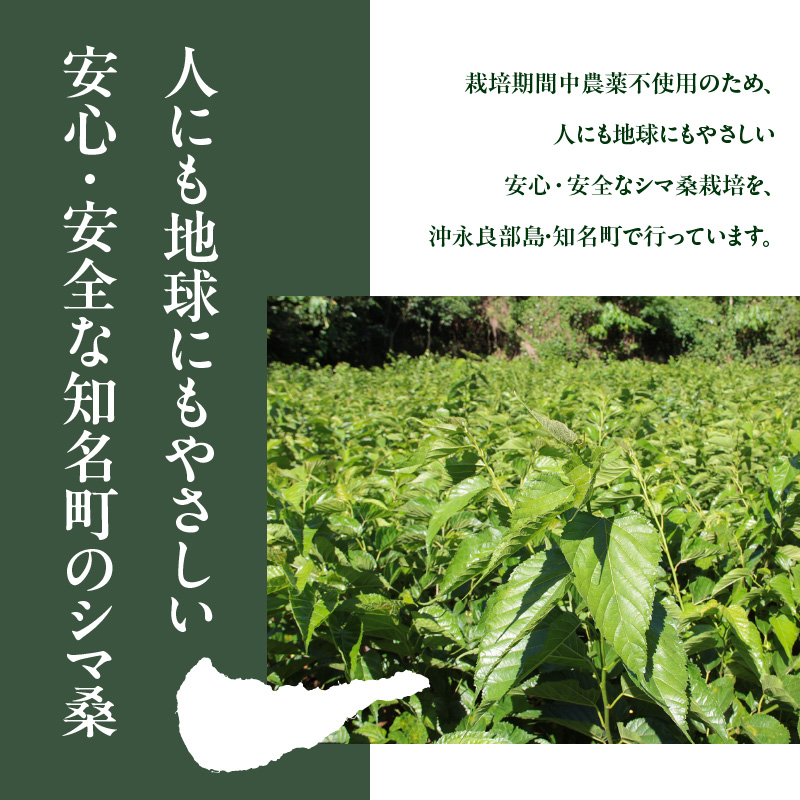 JAS認定！シマ桑青汁（粉末100g）2個　C001-005