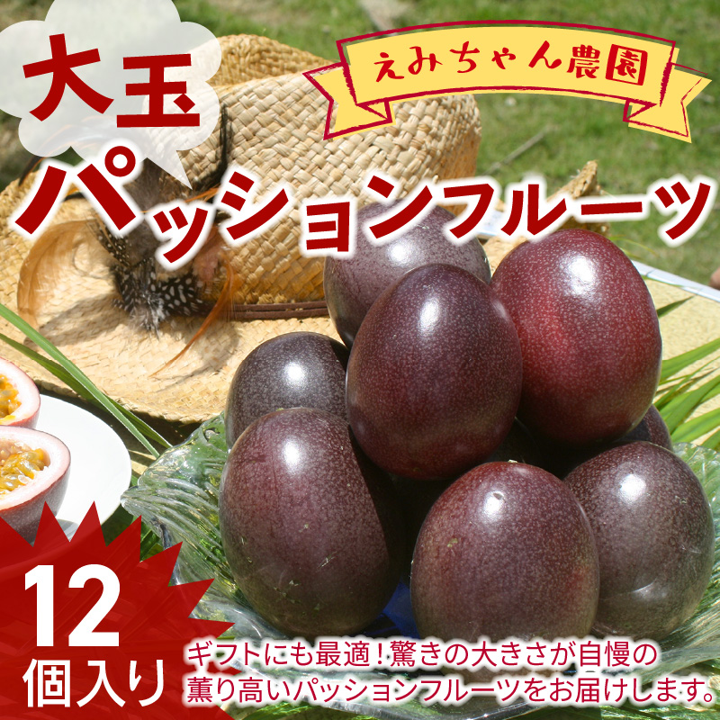 【2026年先行予約】えみちゃん農園 大玉パッションフルーツ（12個入り）　C008-004