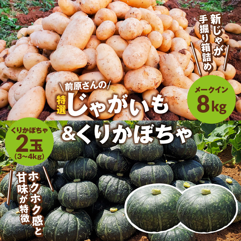 【2026年先行予約】前原さんの特選 じゃがいも メークイン 8kg＆くりかぼちゃ 2玉　C062-T05