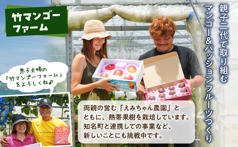 【2026年先行予約】竹マンゴーファームの完熟マンゴー1キロ（2〜3個入り）　C039-004