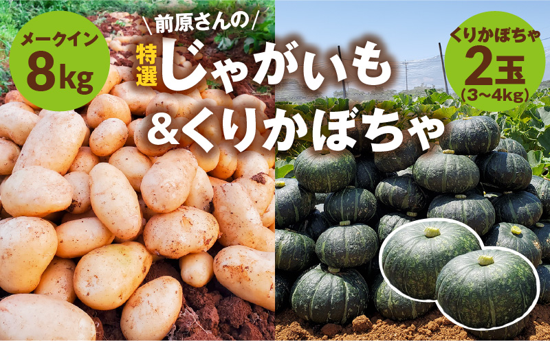 【2026年先行予約】前原さんの特選 じゃがいも メークイン 8kg＆くりかぼちゃ 2玉　C062-T05